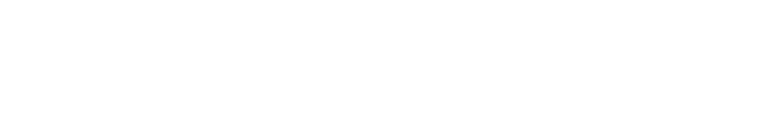 WEDOS Logo - horizontal (white)